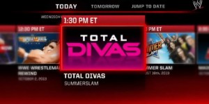 An example of the WWE Network's scheduler.